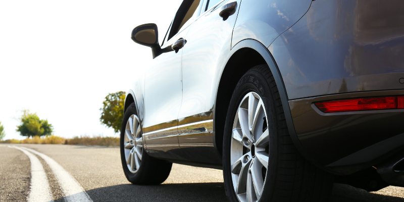 My Dog Was Hit By a Car: What Should I Do?