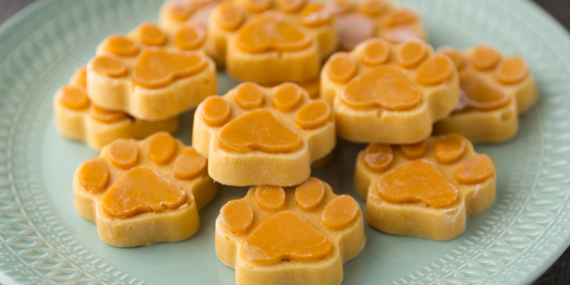 homemade dog treats, dog-friendly Halloween, dog Halloween party, Halloween safety, Halloween activities for dogs, dog Halloween activities, pet Halloween costumes, pet Halloween treats, Animal Emergency & Referral Center of Minnesota, pet safety, Twin Cities emergency vet, Minnesota animal emergency hospital