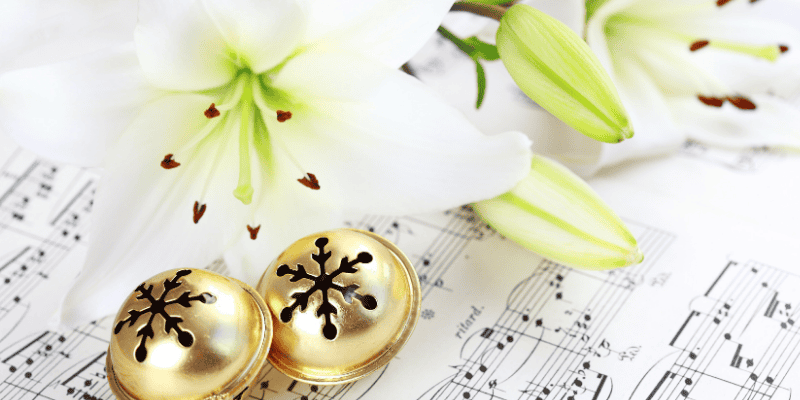 lilies, toxic holiday plants, holiday pet toxins, holiday pet dangers, toxic plants, pet toxins, Animal Emergency & Referral Center of Minnesota