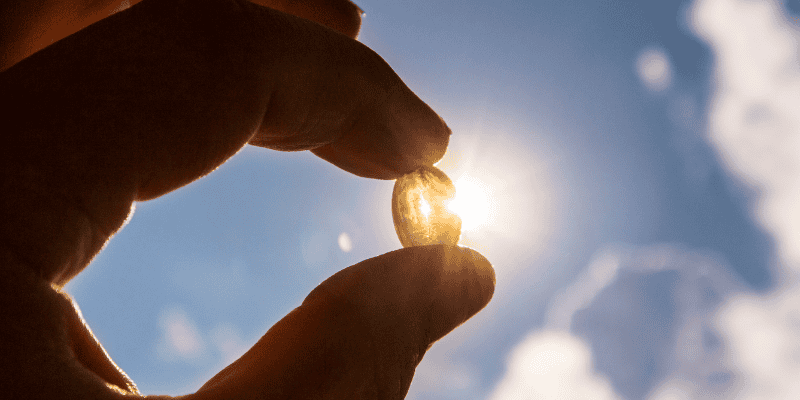 Vitamin D, vitamin supplements, Vitamin D poisoning in pets, Vitamin D toxicity, pet health, pet safety, pet emergency, Animal Emergency & Referral Center of Minnesota