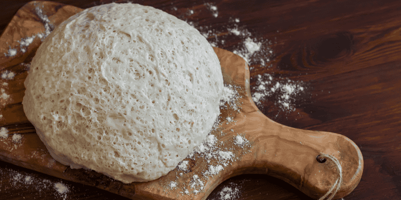 counter, bread dough, baking bread, homemade bread, yeast, homemade bread, toxicity, bread dough toxicity in pets, bread dough toxicity, dog toxins, pet toxins, alcohol toxicity, Animal Emergency & Referral Center of Minnesota, emergency veterinarian, er vet, Minnesota emergency vet, Twin Cities animal emergency hospital