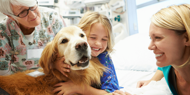 volunteering, pet volunteering, volunteering with pets, pet owners, pet lovers, Animal Emergency & Referral Center of Minnesota, Twin Cities volunteering with pets, Minnesota volunteering with pets