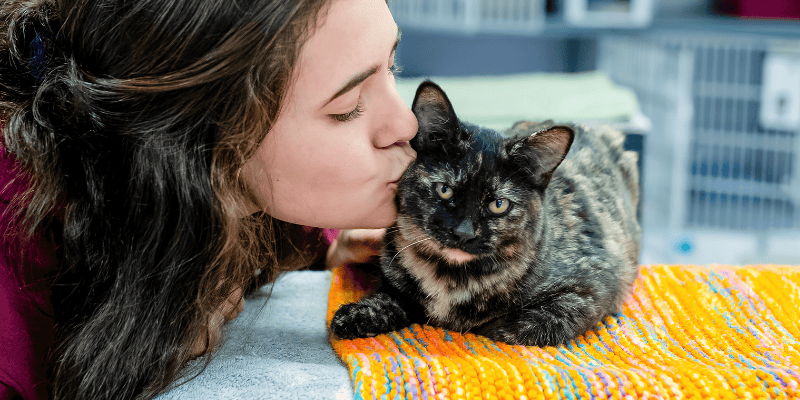 volunteering, pet volunteering, volunteering with pets, pet owners, pet lovers, Animal Emergency & Referral Center of Minnesota, Twin Cities volunteering with pets, Minnesota volunteering with pets