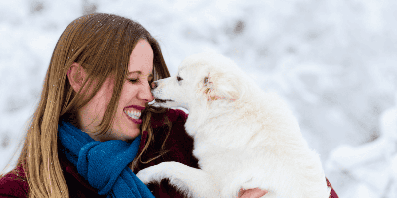 Valentine's Day, Valentine's Day dog gifts, dog gifts, dog mom, dog dad, dog parent, dog owner, dog health, veterinary, emergency vet, Animal Emergency & Referral Center of Minnesota