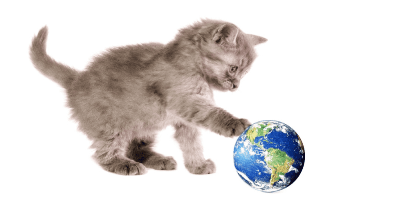 earth day, go green, recycle, reuse, reduce, pet, pet health, go green with your pets, Animal Emergency & Referral Center of Minnesota