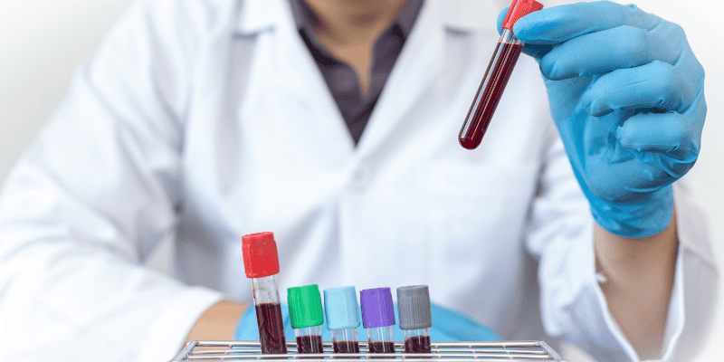 pet obesity, pet weight loss, pet weight loss plan, pet health, Animal Emergency & Referral Center of Minnesota