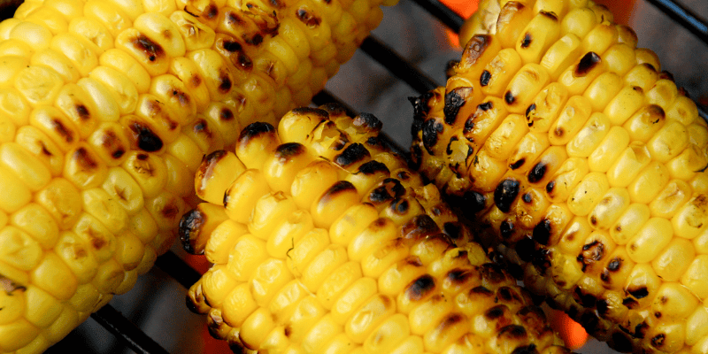 corn on the cob, grilling, grilling safety, grilling tips, pet owners, pet safety, grilling safety for dog owners, grilling safety for pet owners, summer grilling, veterinary medicine, emergency vet, Animal Emergency & Referral Center of Minnesota