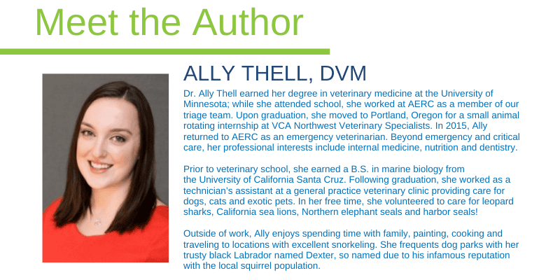 Ally Thell, DVM, emergency veterinarian, Animal Emergency & Referral Center of Minnesota