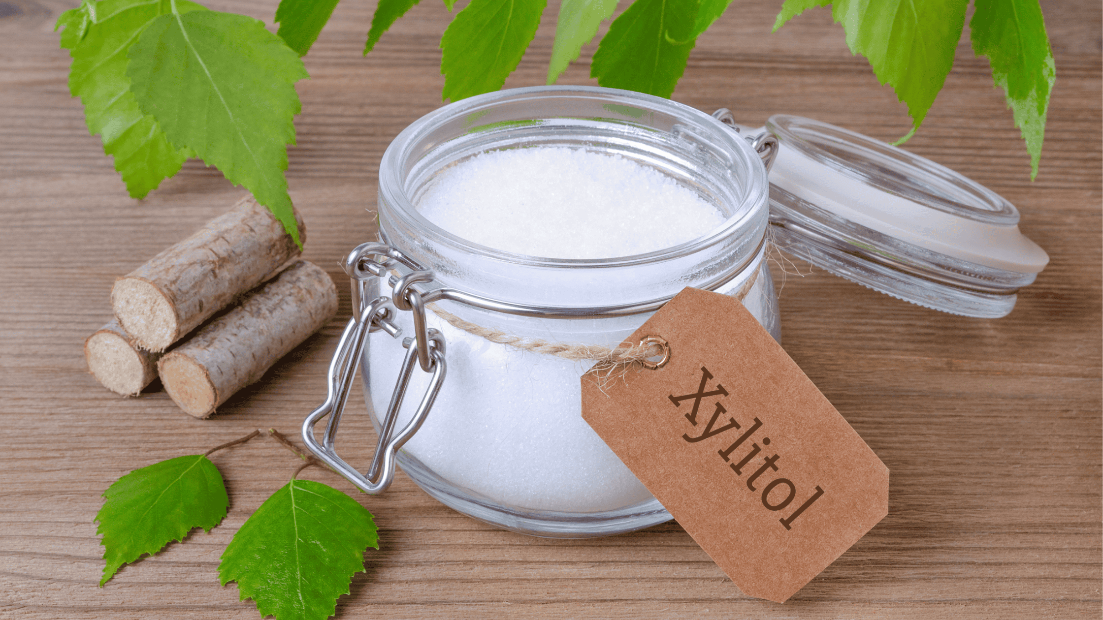 Xylitol: It’s Not So Sweet | Xylitol Toxicity in Dogs