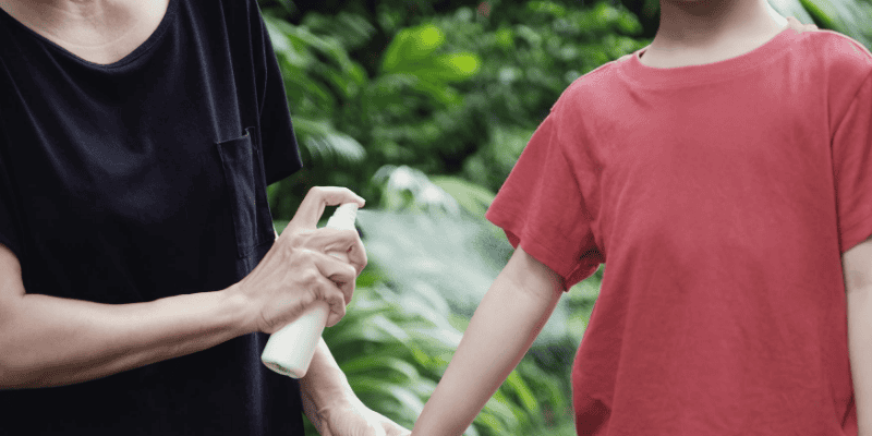 spraying, insect repellent, Labor Day weekend, Labor Day, Labor Day safety tips for pets, pet safety, pet health, Labor Day pet toxins, Labor Day pet hazards, Labor Day pet safety, veterinary, Animal Emergency & Referral Center of Minnesota, Twin Cities emergency vet, Saint Paul emergency vet, oakdale emergency vet