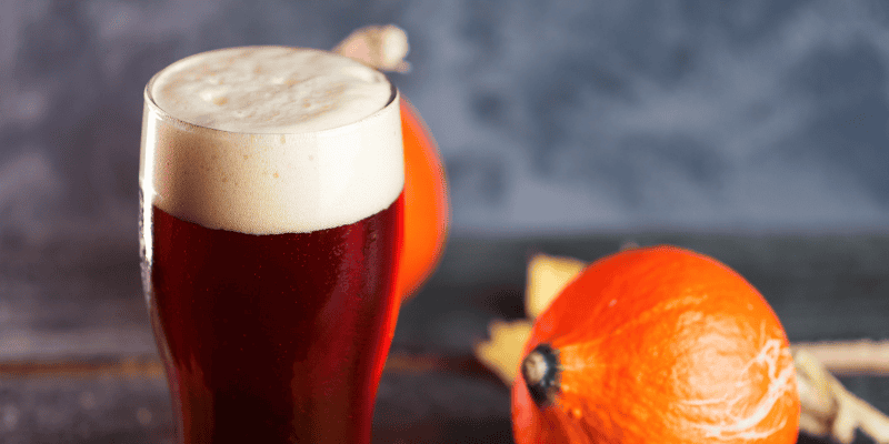 pumpkin beer, pumpkin spice beer, pumpkin spice alcohol, pumpkin spice, pet safety, pet health, pet toxins, cinnamon, nutmeg, pumpkin, cloves, pumpkin spice baked goods, pumpkin spice coffee, pet safety, Animal Emergency & Referral Center of Minnesota, emergency vet, Twin Cities emergency vet, Minnesota emergency vet