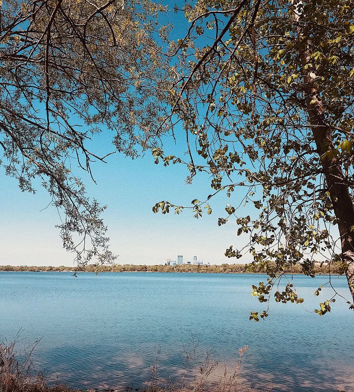 5 Activities to Enjoy with Your Dog this Spring