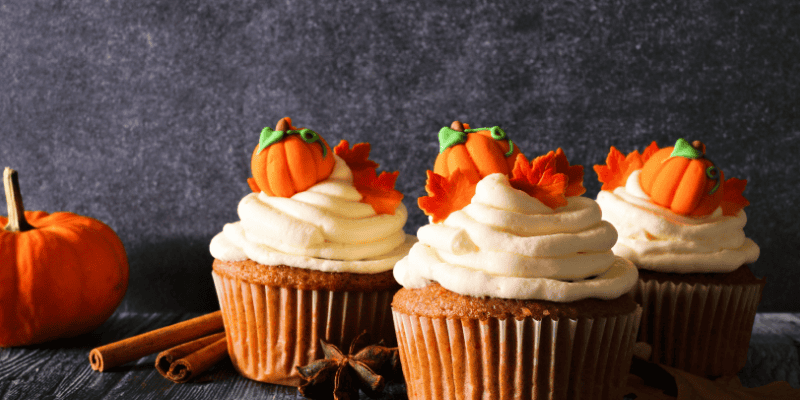 pumpkin spice cupcakes, pumpkin spice, pet safety, pet health, pet toxins, cinnamon, nutmeg, pumpkin, cloves, pumpkin spice baked goods, pumpkin spice coffee, pet safety, Animal Emergency & Referral Center of Minnesota, emergency vet, Twin Cities emergency vet, Minnesota emergency vet