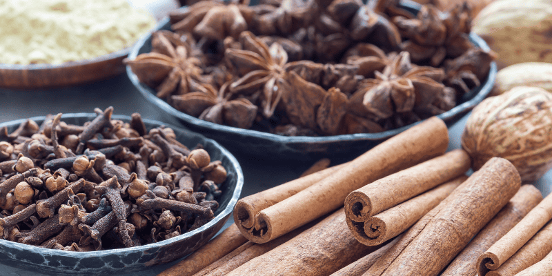 pumpkin spice, pet safety, pet health, pet toxins, cinnamon, nutmeg, pumpkin, cloves, pumpkin spice baked goods, pumpkin spice coffee, pet safety, Animal Emergency & Referral Center of Minnesota, emergency vet, Twin Cities emergency vet, Minnesota emergency vet