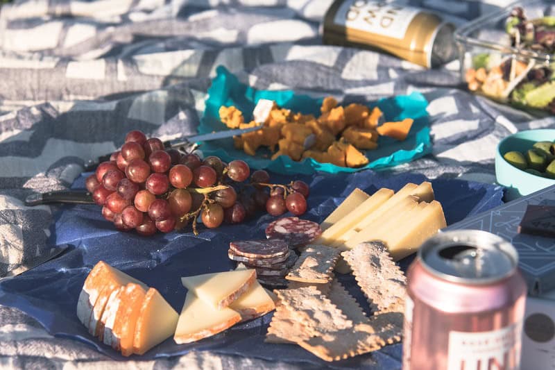 Pet Safety Tips for Memorial Day Part I