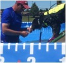 Run, Leap, Splash Part II: How to Train for Dog Dock Diving