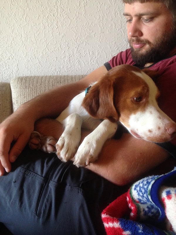 My Dog Has Separation Anxiety