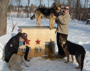 Winterizing Your Pet