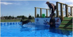 Run, Leap, Splash Part I: What is Dog Dock Diving?