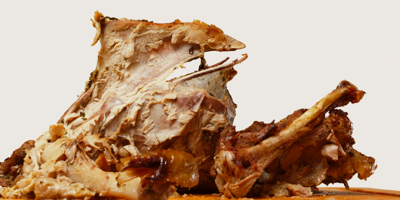 turkey, meat, bones, Thanksgiving, Thanksgiving pet dangers, Thanksgiving pet hazards, Thanksgiving pet tips, pet owners, pet emergency, pets, veterinary, emergency vet, Twin Cities emergency vet, Minnesota, Animal Emergency & Referral Center of Minnesota, Twin Cities vet