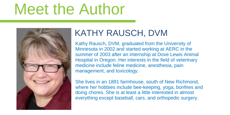 Dr. Rausch, emergency vet, er vet, Animal Emergency & Referral Center of Minnesota