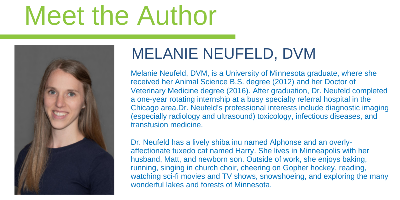 Melanie Neufeld, DVM, Animal Emergency & Referral Center of Minnesota