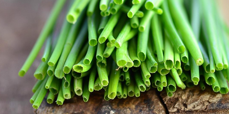 chives, lesser-known pet toxins, pet toxins, pet health, pet emergency, Animal Emergency & Referral Center of Minnesota, Minnesota animal emergency hospital, Twin Cities animal emergency hospital