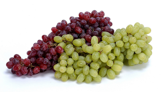 Grape and Raisin Toxicity in Pets