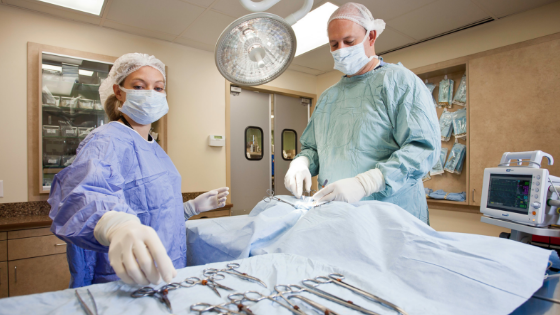 General Post-Operative Care for Pets