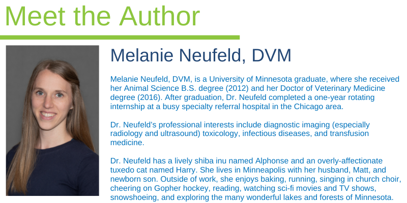 ice safety, pet ice safety, pet winter weather safety, pet cold weather safety, winter weather safety tips for pets, ice safety for dogs, ice fishing with dogs, ice safety for pets, Minnesota pet safety, Animal Emergency & Referral Center of MInnesota, veterinary, emergency vet, Twin Cities emergency vet, Minnesota emergency vet