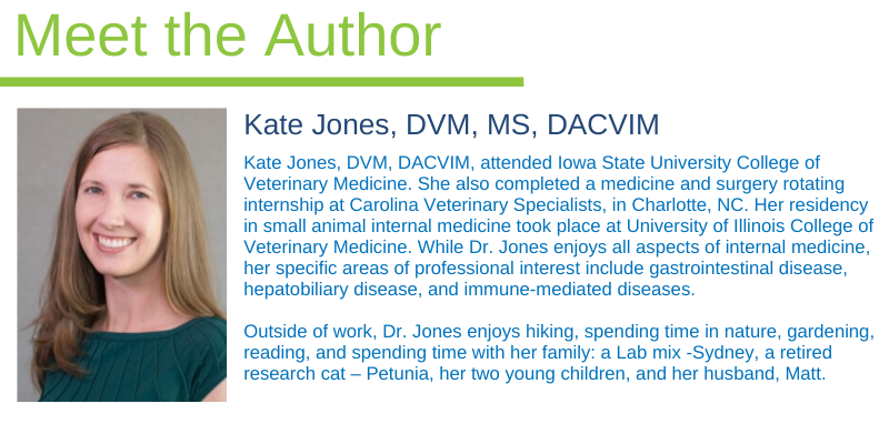 IBD, Inflammatory Bowel Disease, veterinary Internal Medicine, pet health, board-certified veterinary internist, Animal Emergency & Referral Center of Minnesota, Minnesota veterinary specialists