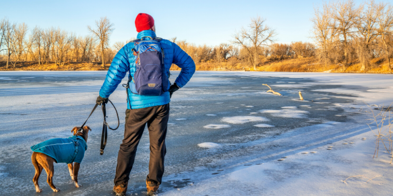 ice safety, pet ice safety, pet winter weather safety, pet cold weather safety, winter weather safety tips for pets, ice safety for dogs, ice fishing with dogs, ice safety for pets, Minnesota pet safety, Animal Emergency & Referral Center of MInnesota, veterinary, emergency vet, Twin Cities emergency vet, Minnesota emergency vet