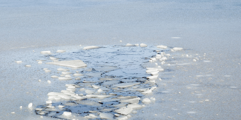 ice safety, pet ice safety, pet winter weather safety, pet cold weather safety, winter weather safety tips for pets, ice safety for dogs, ice fishing with dogs, ice safety for pets, Minnesota pet safety, Animal Emergency & Referral Center of MInnesota, veterinary, emergency vet, Twin Cities emergency vet, Minnesota emergency vet