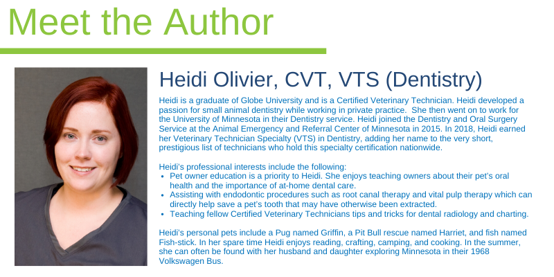 Dentistry & Oral Surgery service, AERC, Animal Emergency & Referral Center of Minnesota, veterinary dentistry, veterinary oral surgery, Animal Emergency & Referral Center of Minnesota