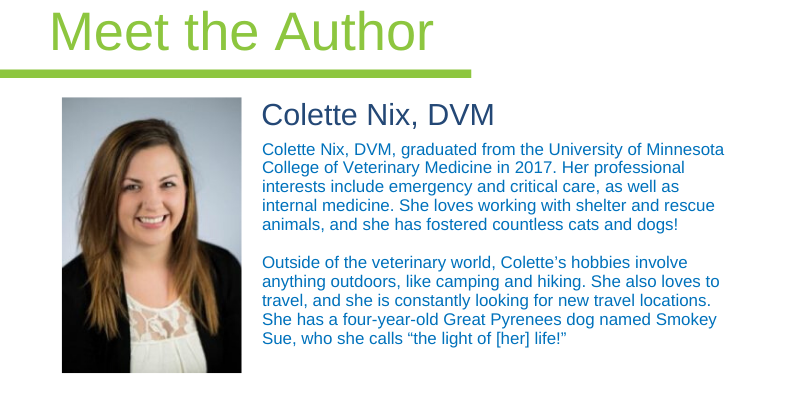 dog, sneezing, pet health, nasal discharge, pet sneeze, emergency vet, ER vet, Twin Cities emergency vet, Minnesota emergency vet, Animal Emergency & Referral Center of Minnesota