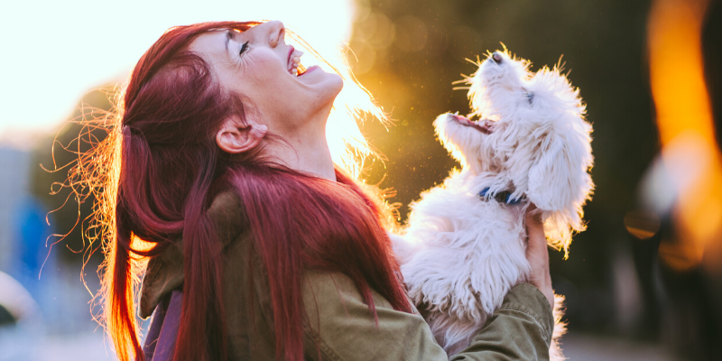 Valentine's Day, pet gifts, furry Valentine, emergency vet, AERC, Animal Emergency & Referral Center of Minnesota, Twin Cities emergency vet, Valentine's Day with pets, pet owners