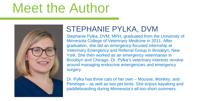 flea season, ticks and fleas, flea preventative, dogs and fleas, cats and fleas, flea infestation, veterinary, emergency vet, Minnesota veterinarian, Animal Emergency & Referral Center of Minnesota