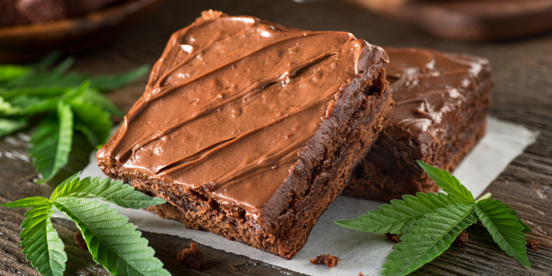 emergency vet, dog emergency, dog owners, tips from emergency vet, er vet, Minnesota emergency vet, Twin Cities emergency vet, Animal Emergency Hospital & Referral Center of Minnesota