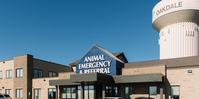 injured pets, emergency vet, Twin Cities emergency vet, transporting injured pets, critical pets, pet owners, Animal Emergency & Referral Center of Minnesota
