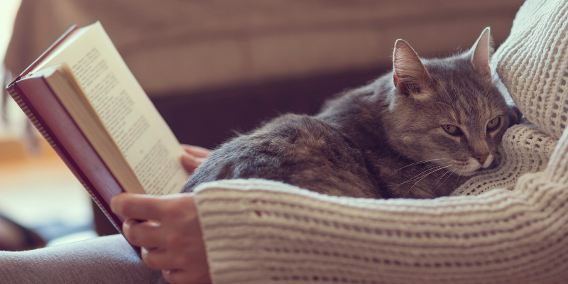 Animal Human Bond Social Worker, calm, relieving stress, relieving anxiety, COVID-19, coronavirus, social distancing, pandemic, Minnesota, Animal Emergency & Referral Center of Minnesota