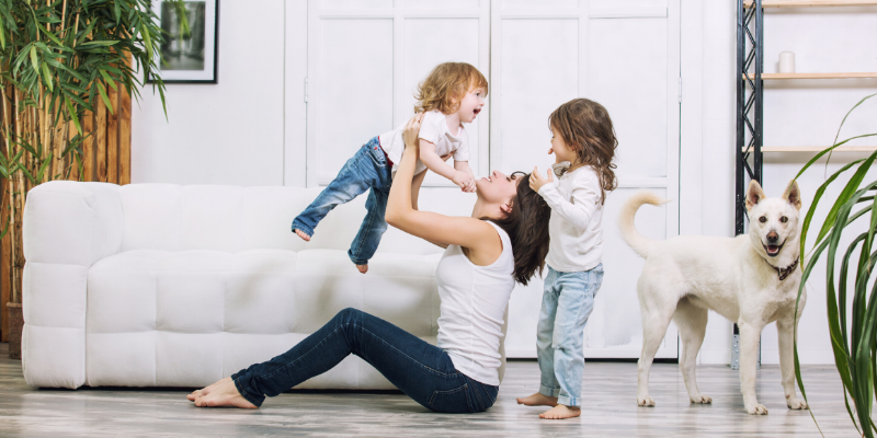 Animal Human Bond Social Worker, calm, relieving stress, relieving anxiety, COVID-19, coronavirus, social distancing, pandemic, Minnesota, Animal Emergency & Referral Center of Minnesota