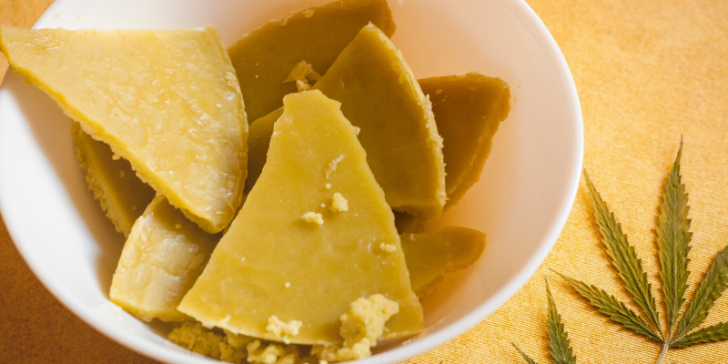 marijuana toxicity in pets, marijuana exposure, marijuana poisoning in pets, veterinary, veterinary clinic, Minnesota animal hospital, pet emergency, Animal Emergency & Referral Center of Minnesota