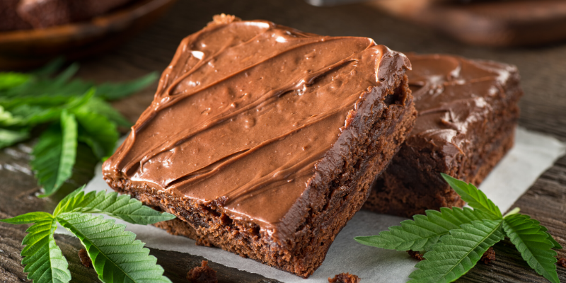 marijuana toxicity in pets, marijuana exposure, marijuana poisoning in pets, veterinary, veterinary clinic, Minnesota animal hospital, pet emergency, Animal Emergency & Referral Center of Minnesota