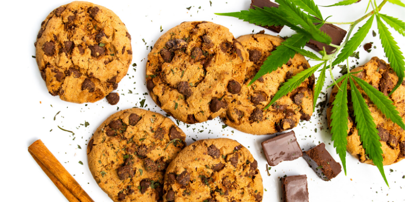 marijuana toxicity in pets, marijuana exposure, marijuana poisoning in pets, veterinary, veterinary clinic, Minnesota animal hospital, pet emergency, Animal Emergency & Referral Center of Minnesota