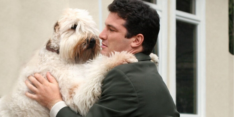  man, suit, dog, leaving for work, goodbye, pets, pet health, separation anxiety, returning to work, Animal Emergency & Referral Center of Minnesota, pet safety, Twin Cities animal hospital, Twin Cities veterinary clinic, Minnesota animal hospital