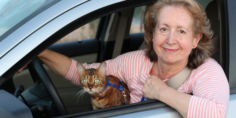 woman, cat, curbside services, shop local, support local, locally-owned veterinary clinic, family veterinarian, family vet, Minnesota veterinary clinics, Minnesota animal hospital, Twin Cities veterinary clinics, Saint Paul veterinary clinics, veterinary care, pets, pet owners, support local veterinarians 