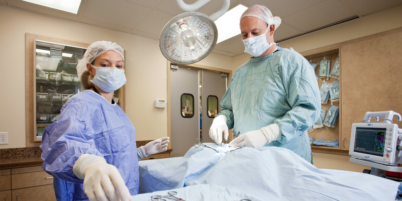 veterinary care, pandemic, emergency veterinary care, animal hospital, pet owners, pet health, Animal Emergency & Referral Center of Minnesota, Saint Paul veterinary emergency hospital, Twin Cities animal emergency hospital