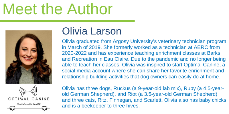 dog, training, obedience training,, boredom busters, dog boredom busters, boredom busters for dogs, dog activities, dog enrichment activities, Optimal Canine, Animal Emergency & Referral Center of Minnesota, dog brain games