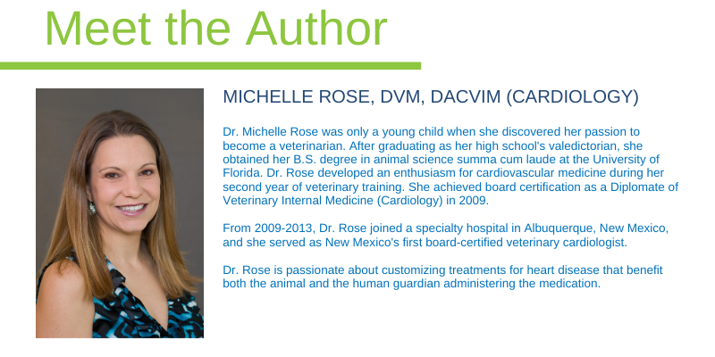 cardiology, veterinary cardiology, Resting Respiratory Rate, pet health, Animal Emergency & Referral Center of Minnesota, board-certified veterinary cardiologist, veterinary cardiologist, Cardiology Service