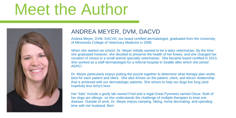 veterinary dermatology, board-certified veterinary dermatologist, itchy pets, pet health, pet skin, pet dermatology, Animal Emergency & Referral Center of Minnesota.